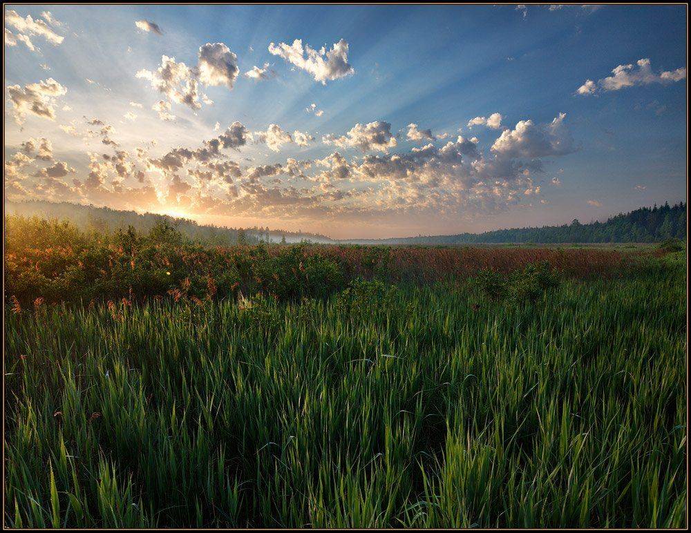 , izh Diletant (Валерий Щербина)