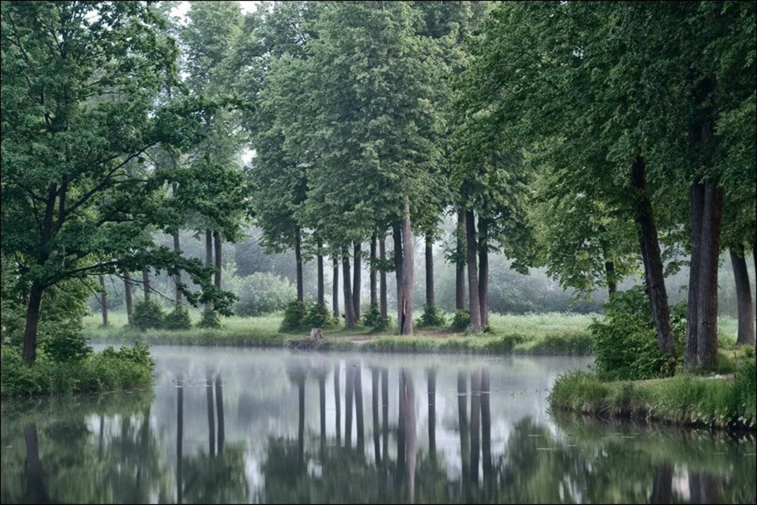 , Сергей Чубаров