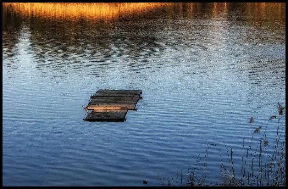 , Лунный Ежик