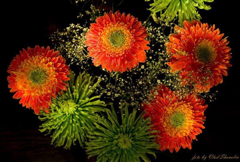 светографика, букет, фейерверк Букет для любителя фейерверков фото превью