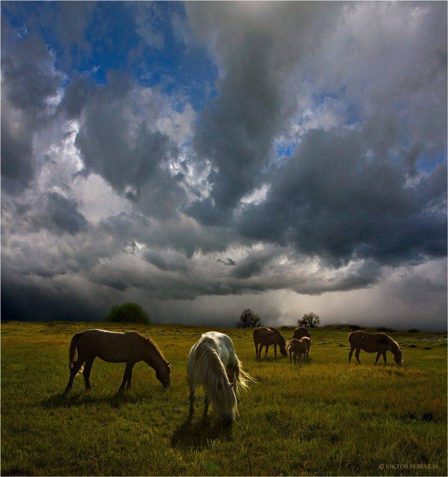 , Виктор Перякин