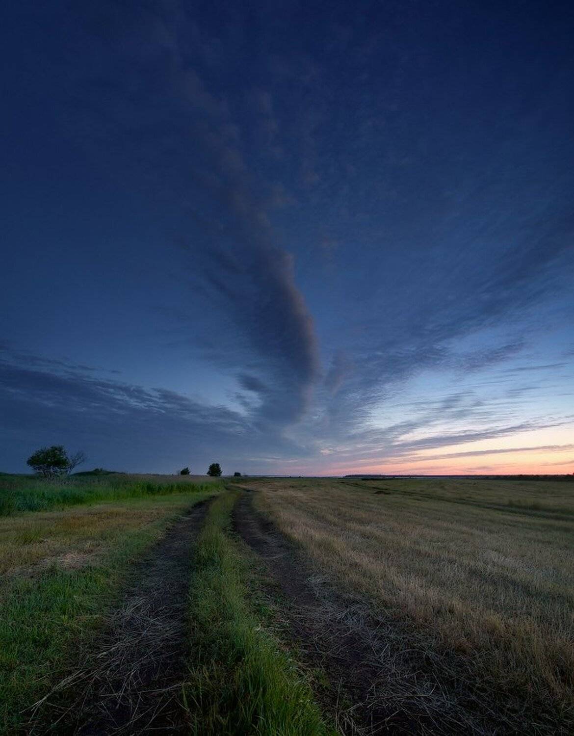, Максим Евдокимов