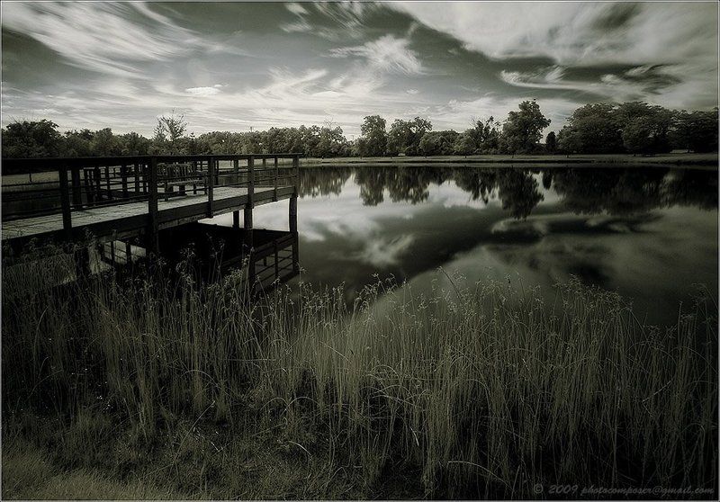 ик, пейзаж, infrared, инфракрасный, инфракрасное, pilgrim, canon eos 20d Simple love song... фото превью