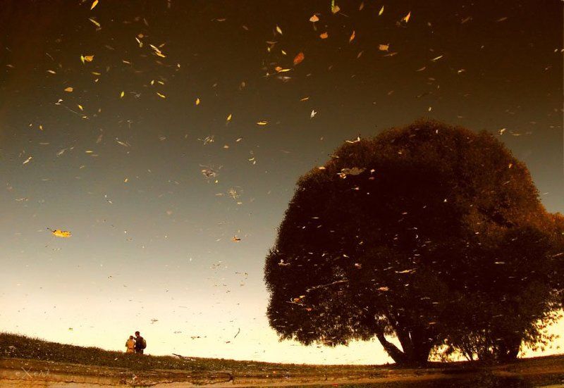 Космос фото превью