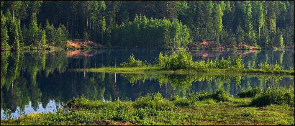 , izh Diletant (Валерий Щербина)