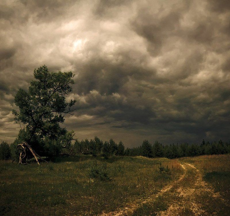 Успеть уйти... фото превью