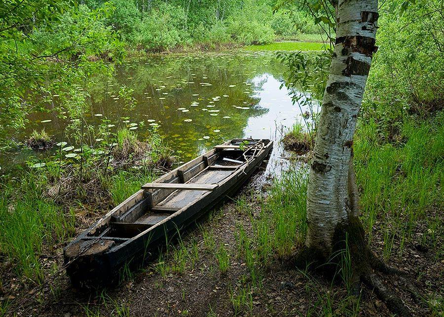 лето, лес, лодка, заповедник, озеро, тишина, покой, Partner (Андрей Алексеев)