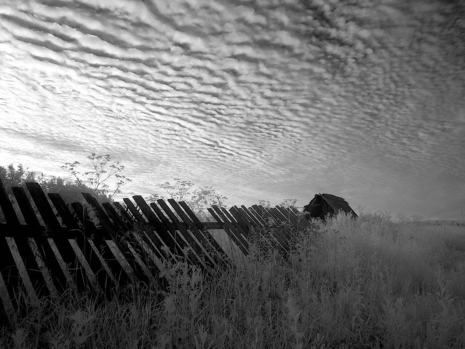 , Максим Евдокимов