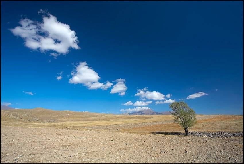 , Форсов Владимир