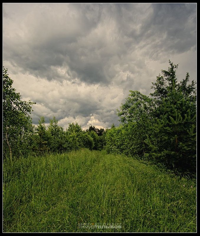 Тверские зарисовки... фото превью