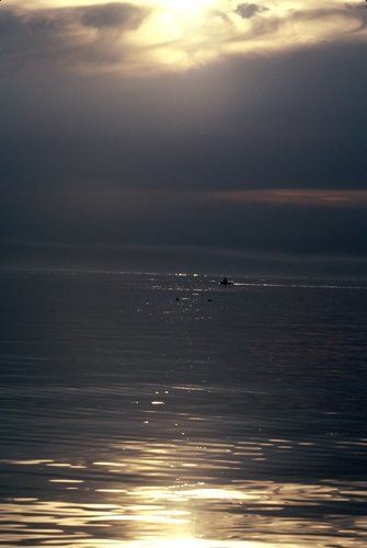 Перед бурей.