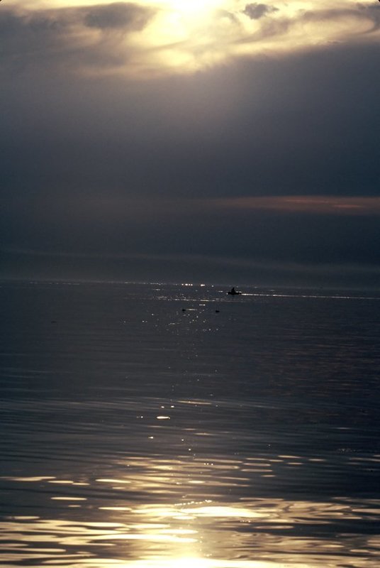 ,фотоплёнка,негатив, слайд Перед бурей. фото превью