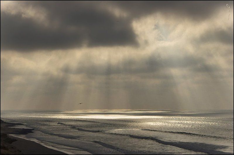 африка, марокко, africa, morocco, maroc, магриб, атлантический, океан, атлантика, atlantic,   ocean Солнечный дождь... фото превью