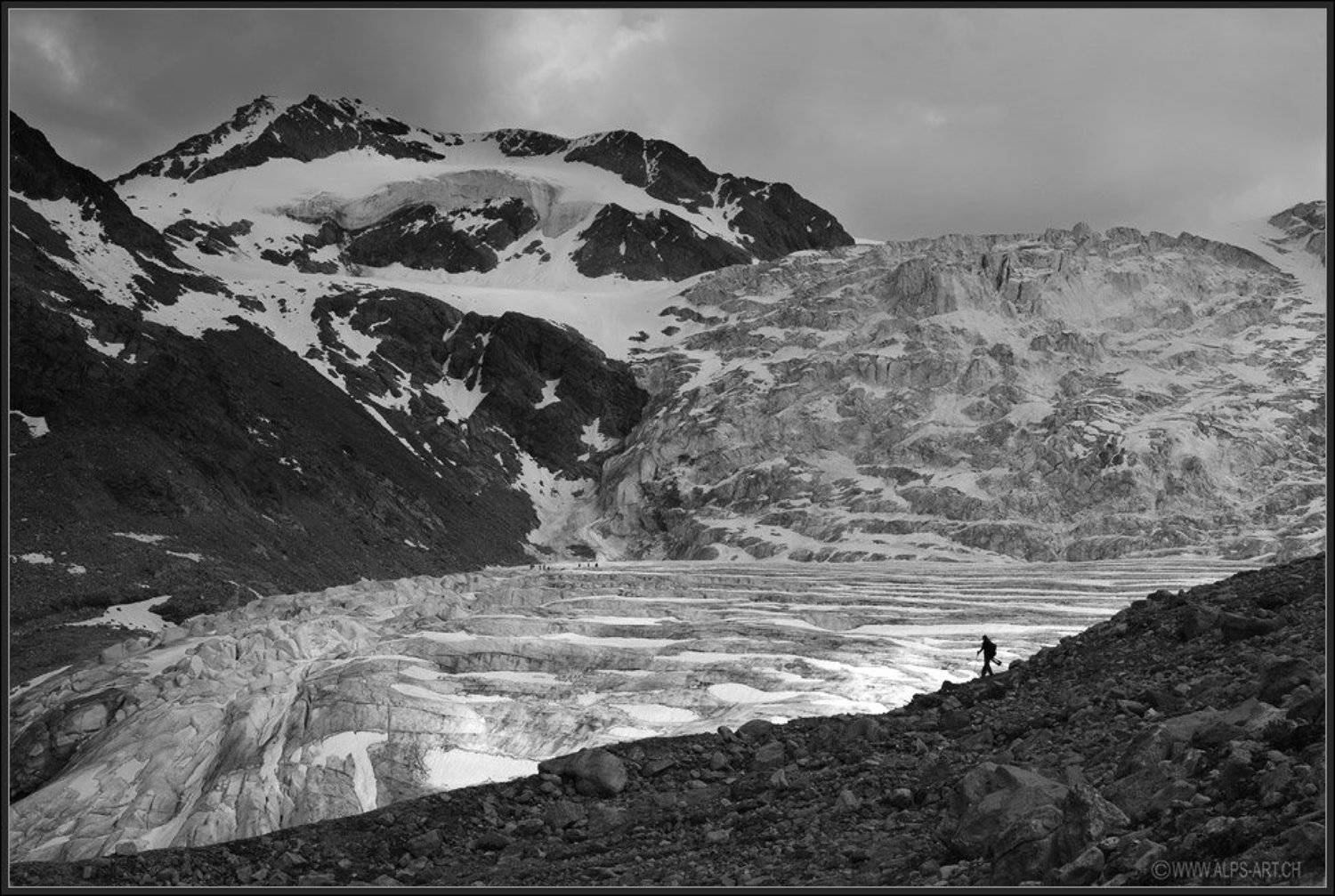 альпы, Forest Elf