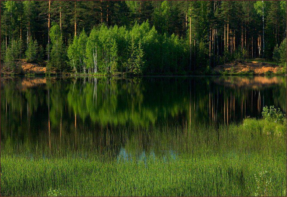 , izh Diletant (Валерий Щербина)