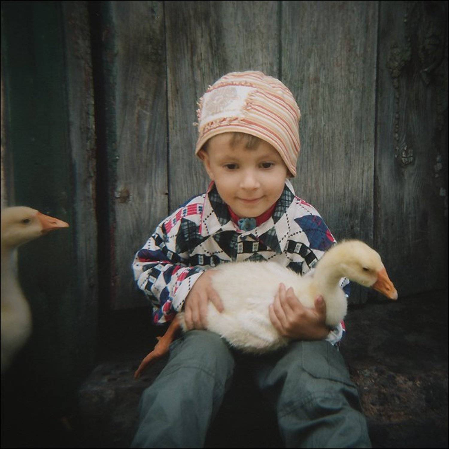 holga, Ульф Хедхинн