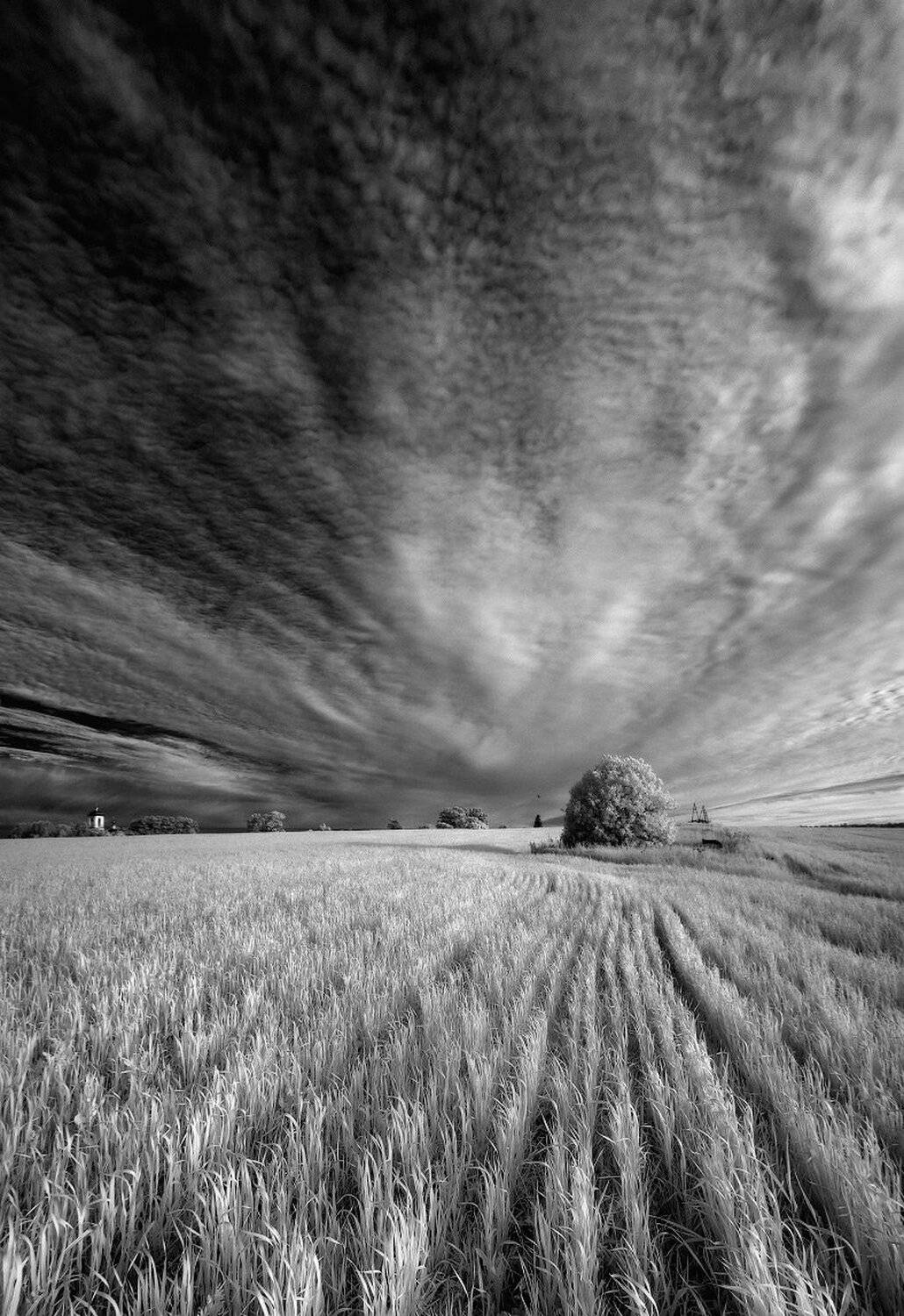 , Максим Евдокимов