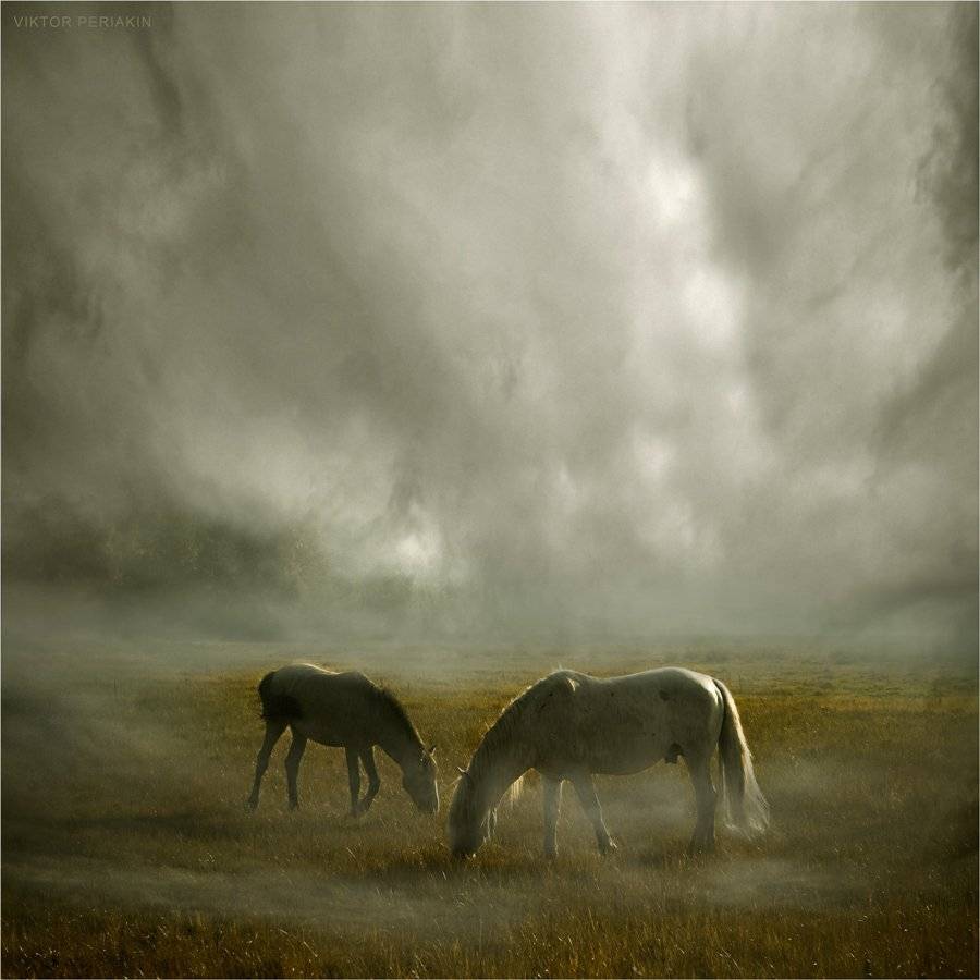 , Виктор Перякин