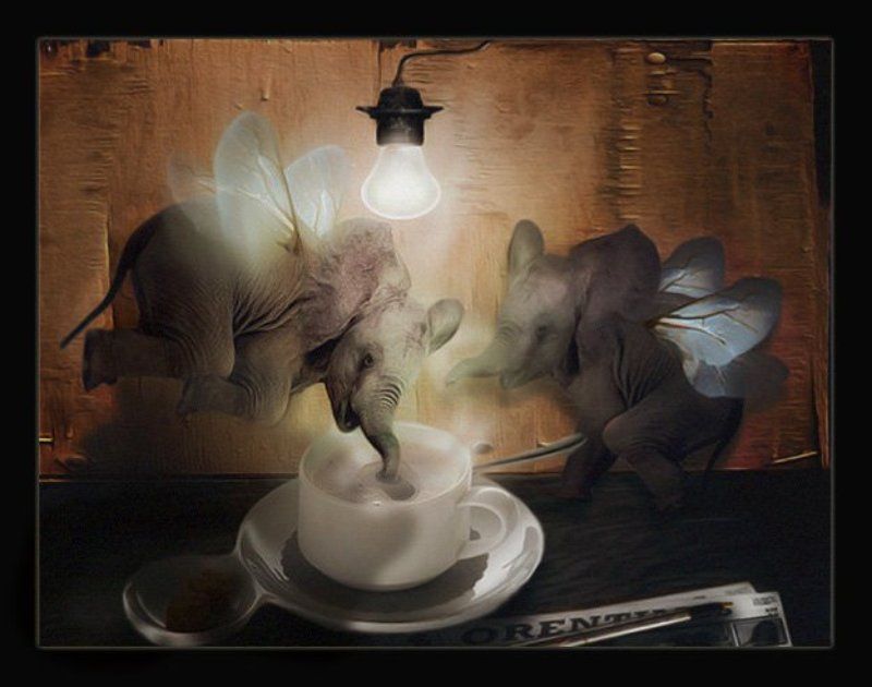 бывает же фото превью