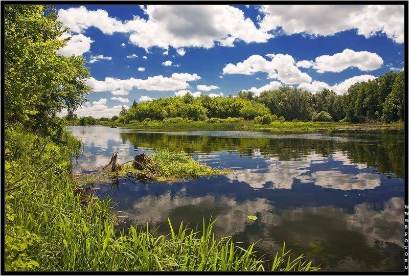 пейзаж, река, лето, воронеж, липецк, замартынье, кривец, преображеновка, Алексей Строганов