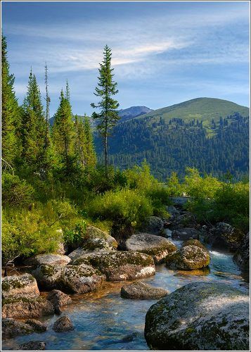 Приток ручья Тушканчик