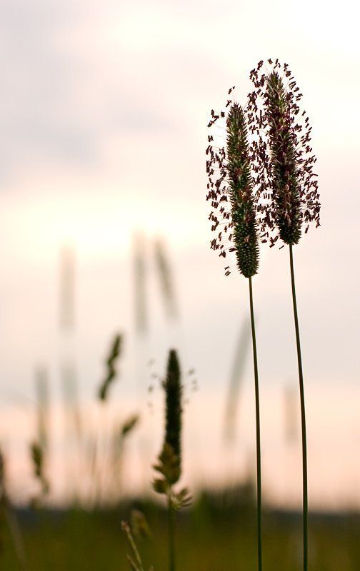 Love Is ... фото превью