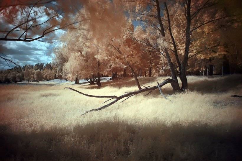 ик, Эдуард VTORNIK  Николаев