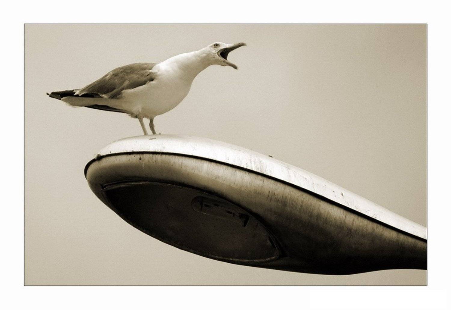 , Дмитрий Г.