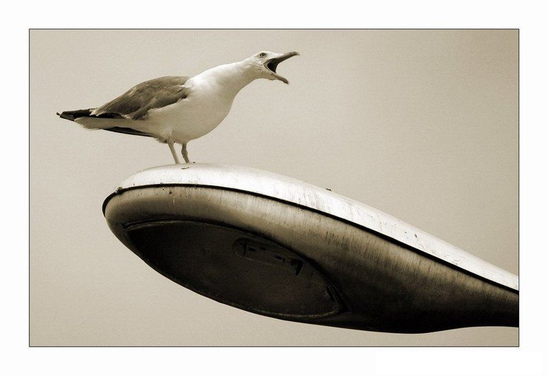 Кина не будет ... электричество кончилось ... фото превью