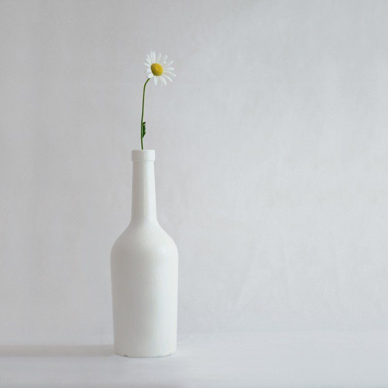 ромашка, бутылка, белое Одинокая ромашка. фото превью