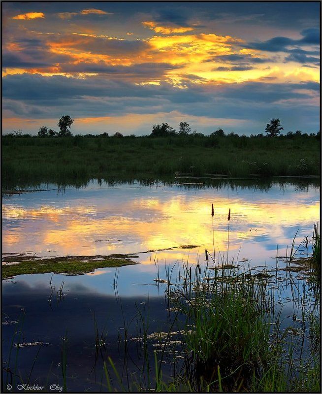хакасия КОГДА ПОЮТ СВЕРЧКИ фото превью
