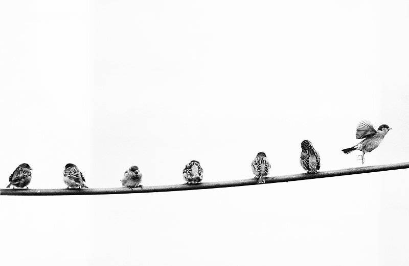 , Максим Юлдашев