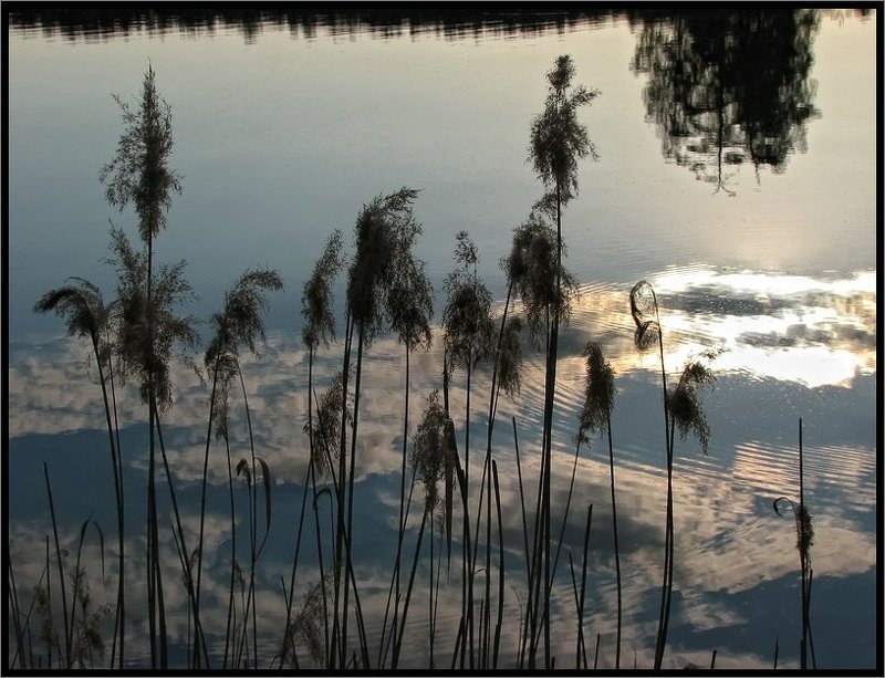 Вечер на озере фото превью