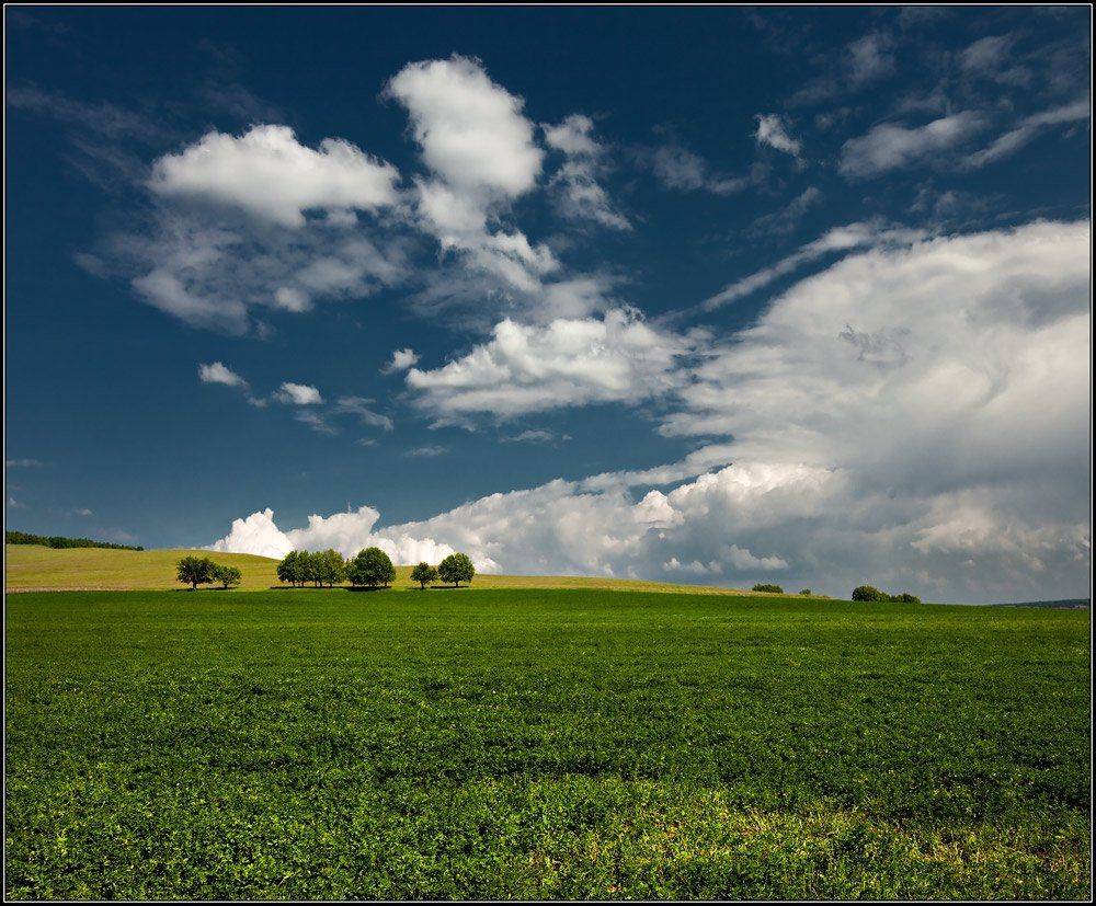 , izh Diletant (Валерий Щербина)