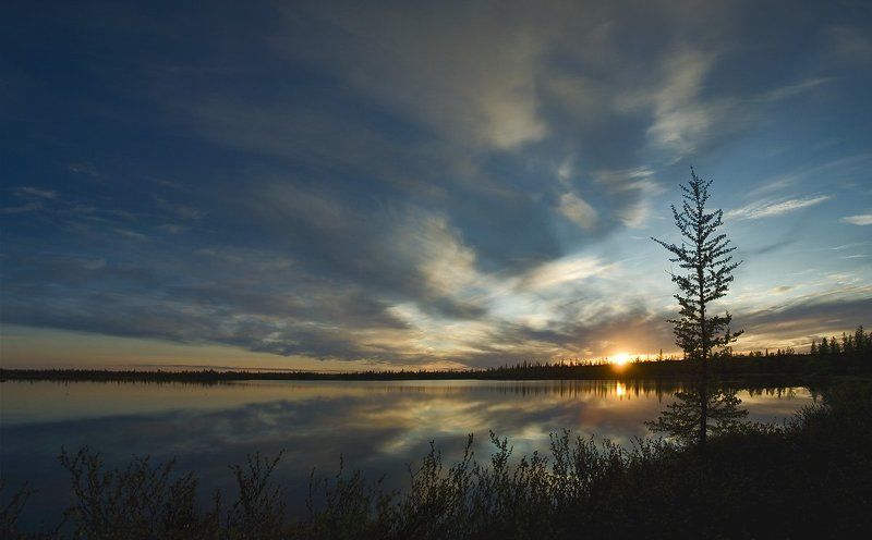 закат, пейзаж, природа, солце, север белые ночи фото превью