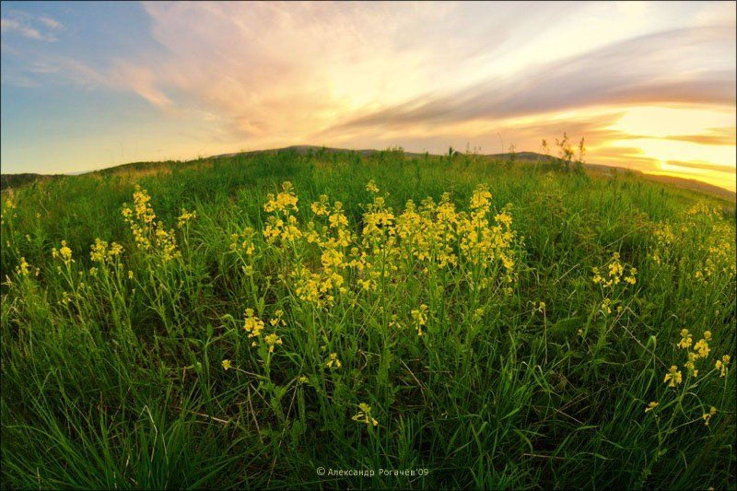 мурманск,лето,ночь,полярный день, Александр Рогачёв