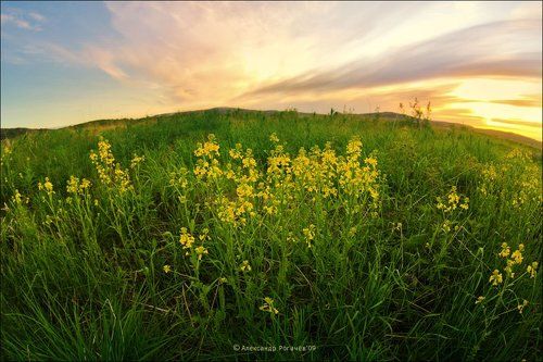 Летняя ночь на Кольском полуострове.
