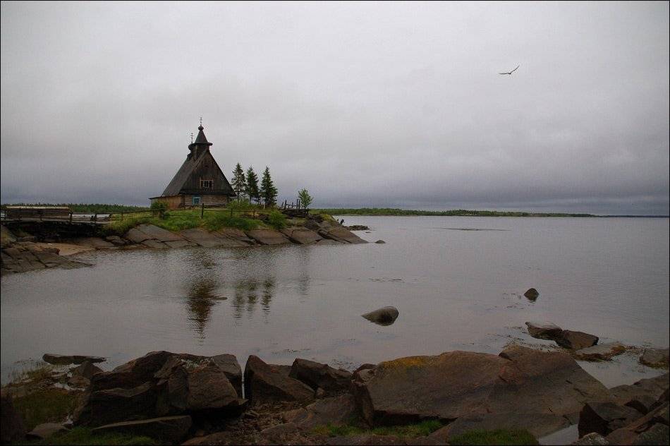 , Дарья Васильева
