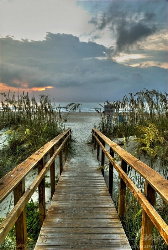 When The Beach Awakes фото превью