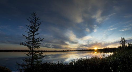 белые ночи#2