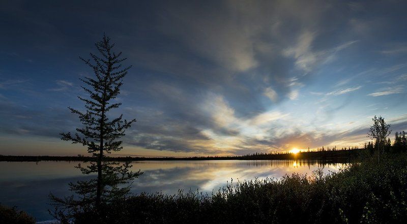 закат, пейзаж, природа, солце, север, панорама белые ночи#2 фото превью