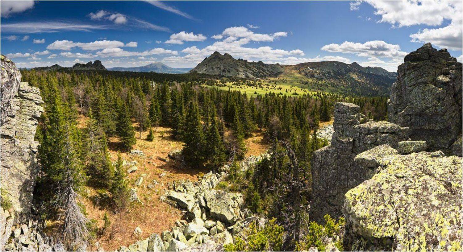 , Степанов Сергей