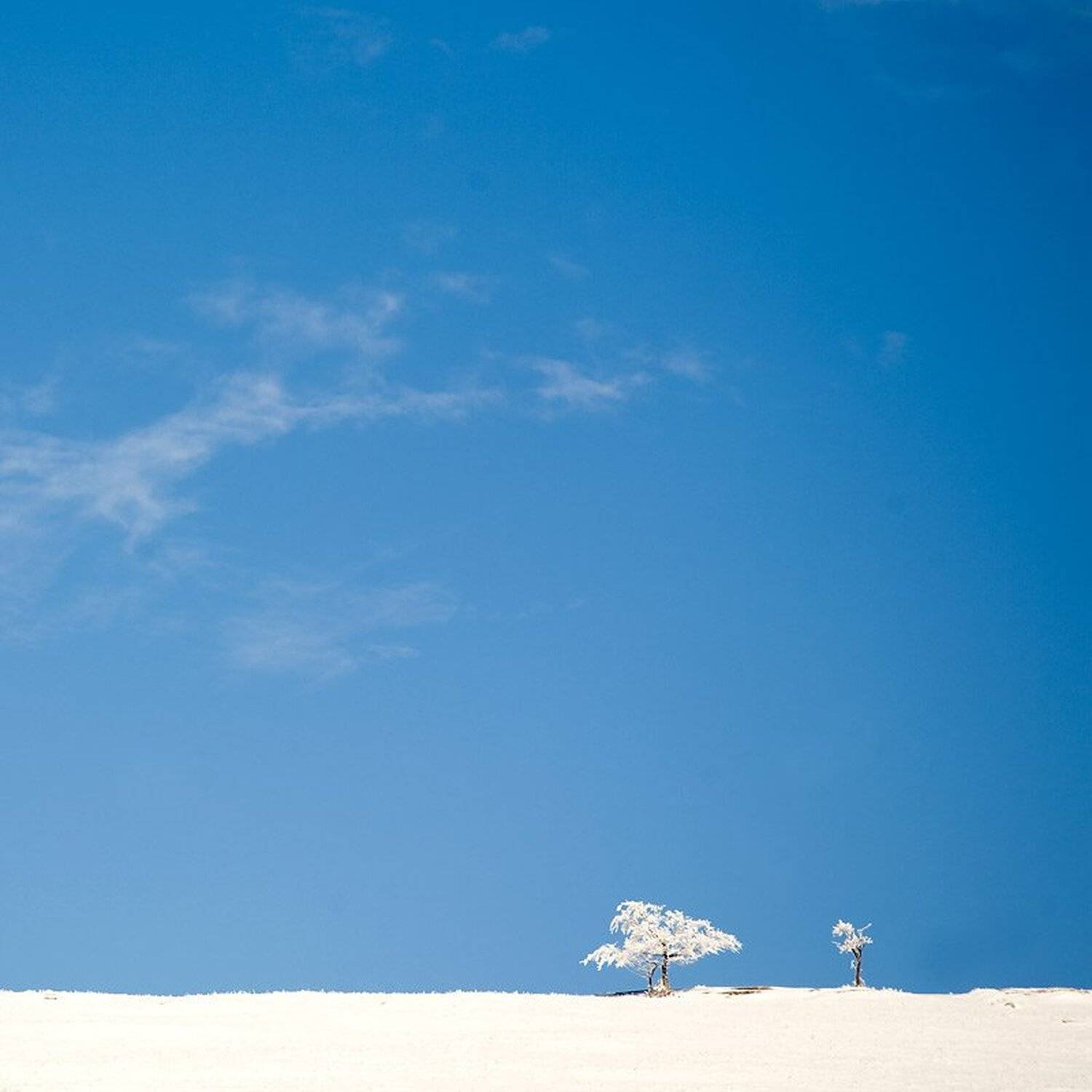 горы, зима, крым, деревья, снег, минимализм, Юрчик Шиндин