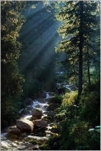 Ручей Тушканчик