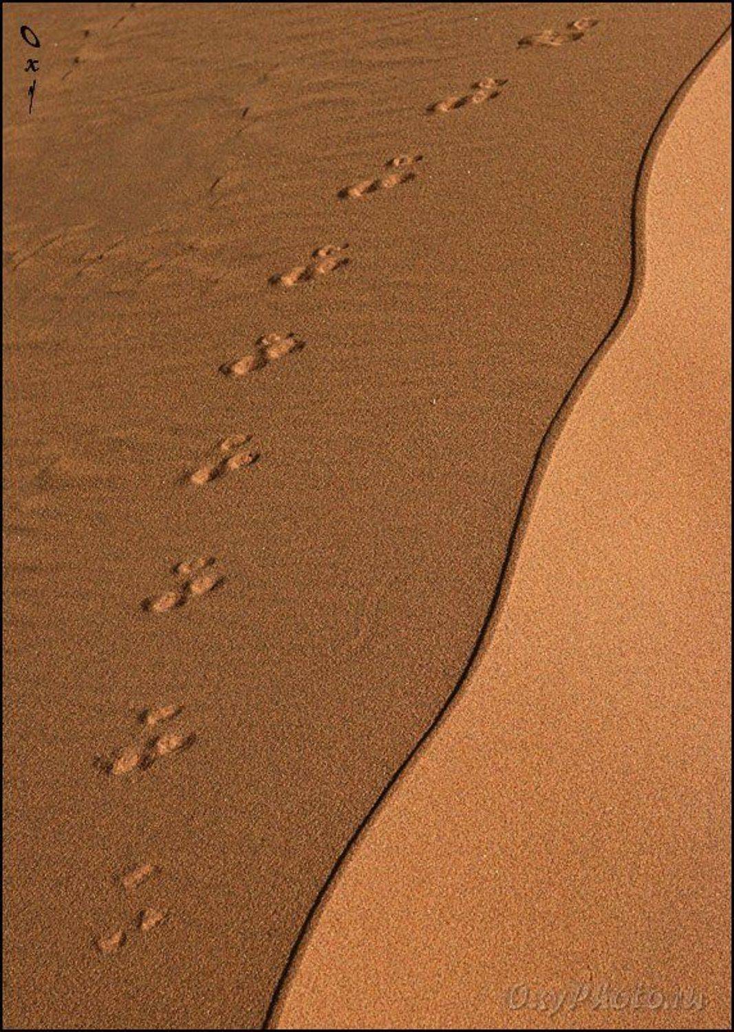 дюны, соссусвлеи, пустыня намиб, намибия, африка, dunes, sossusvlei, namib desert, namibia, africa, Оксана Борц