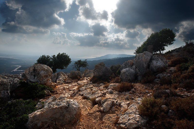 Cветлая даль фото превью