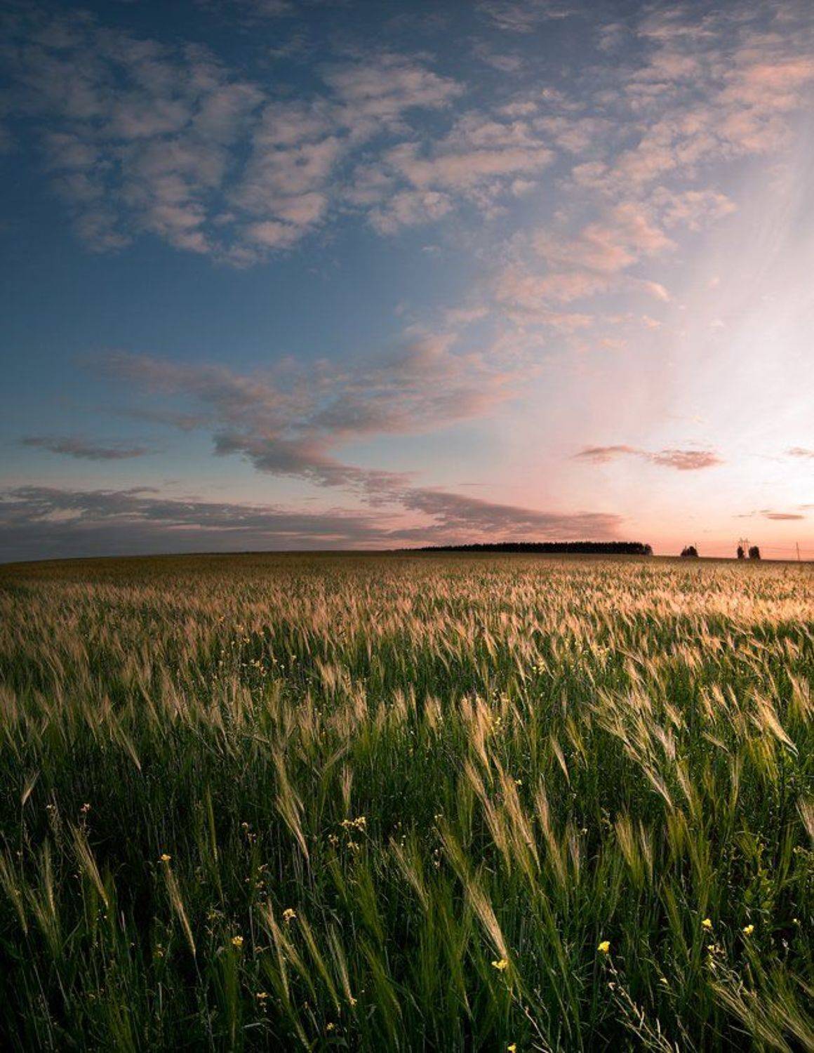 , Александр Дубовицкий