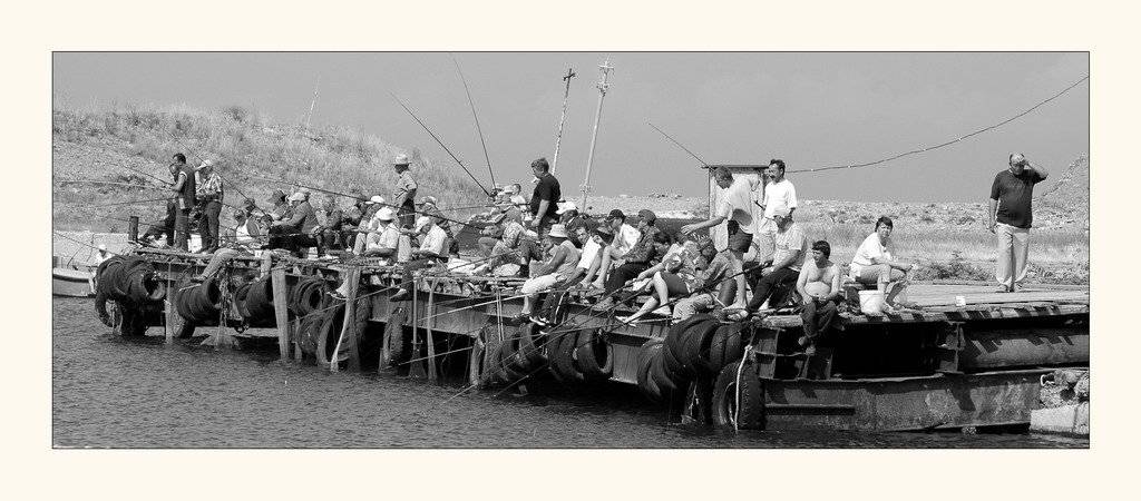 , Дмитрий Г.