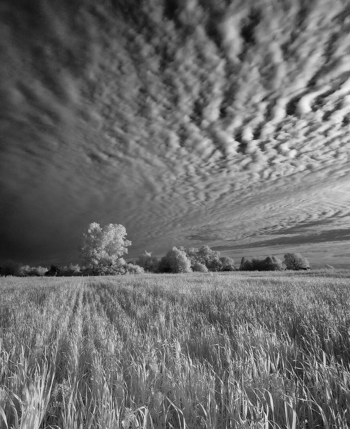 , Максим Евдокимов