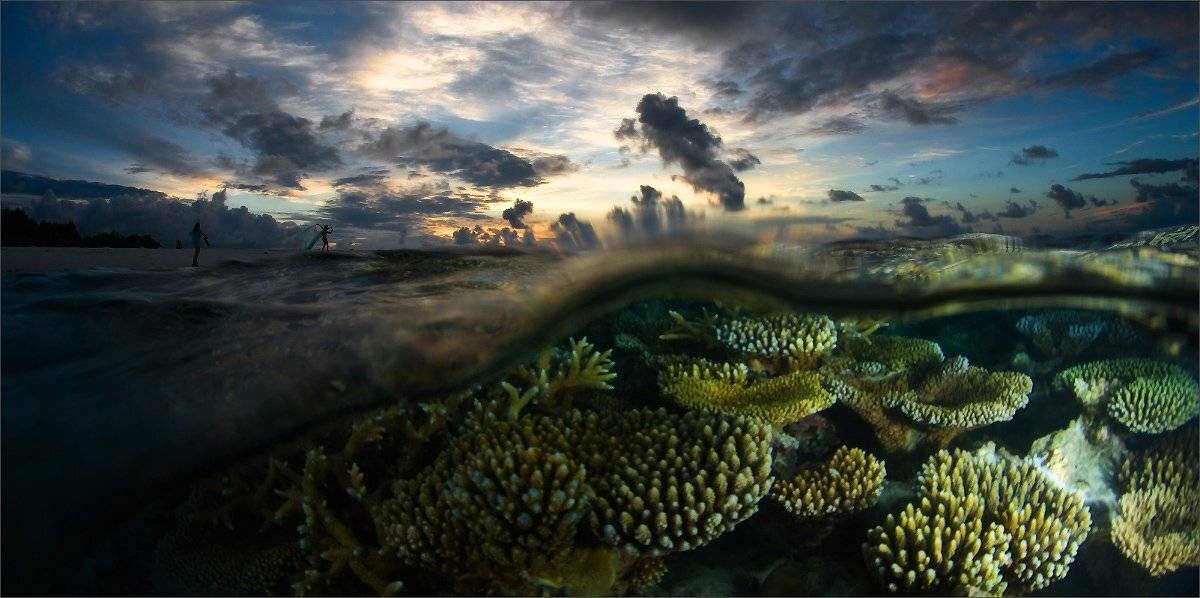 спать_уже_пора, Нетушки